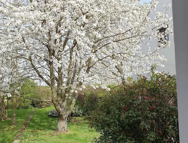 Maison d'hôtes Weitblick